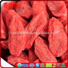 Wolfberry goji berry where are goji berries sold nutritional value of dried goji berries
